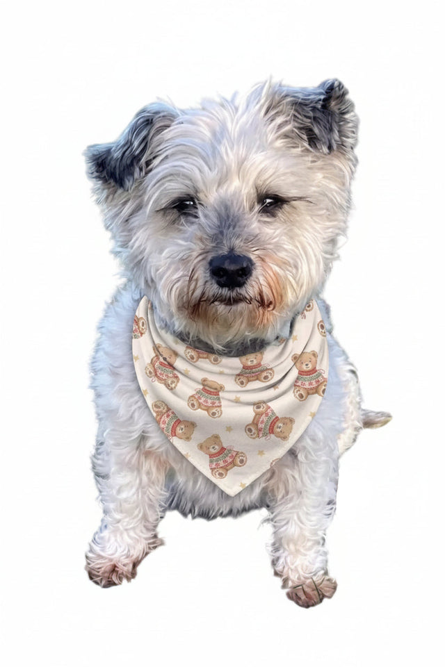 Luxe Bamboo Cosy Cub Christmas Dog Bandana
