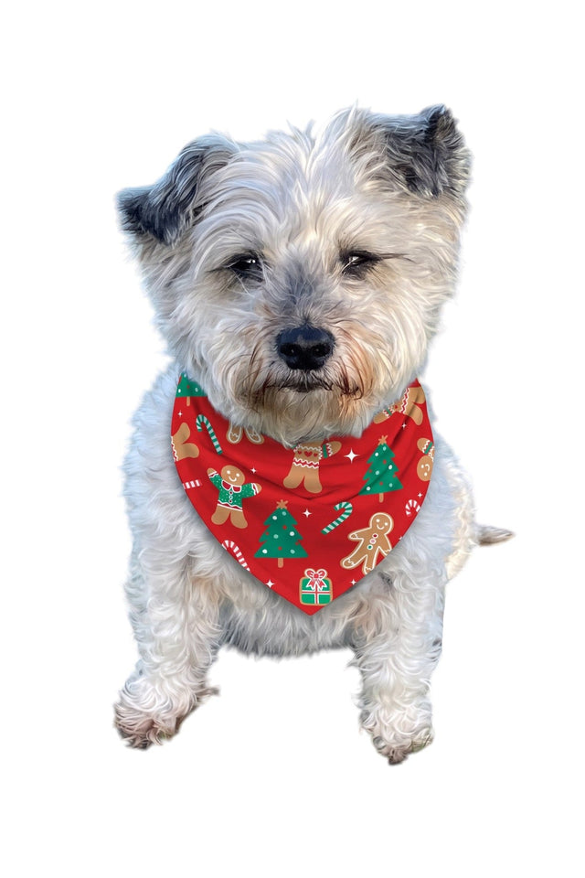 Luxe Bamboo Sweet Treats Christmas Dog Bandana